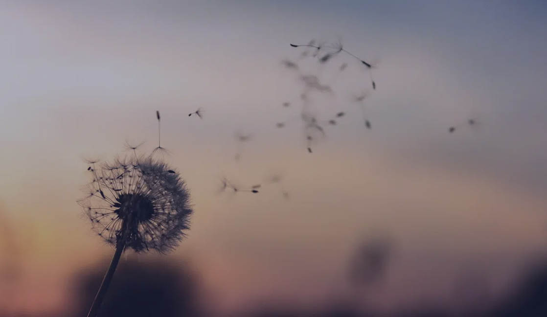 Bereavement